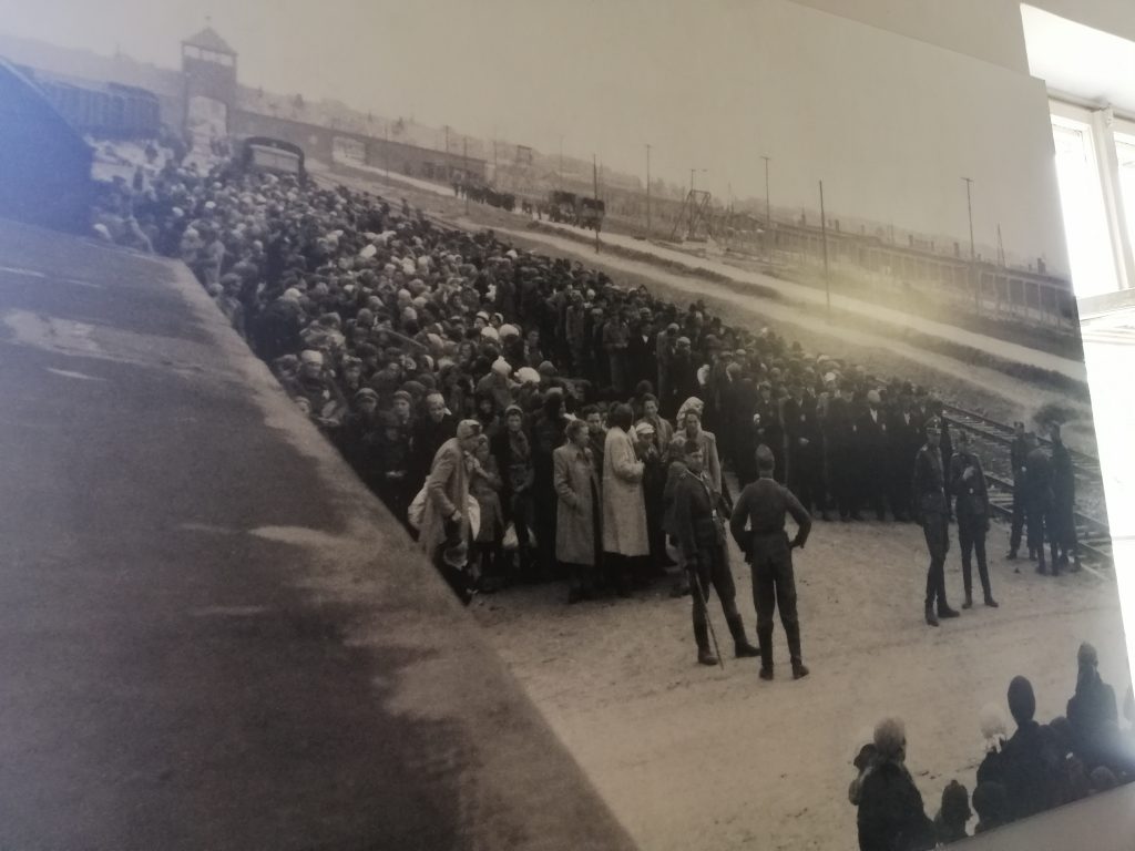 Fotografía de la primera gran selección expuesta en el Museo Auschwitz-Birkenau