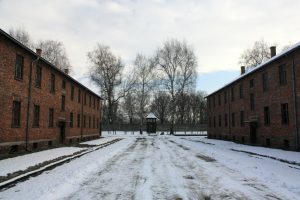Imagen de Auschwitz, barracones, paseo nevado