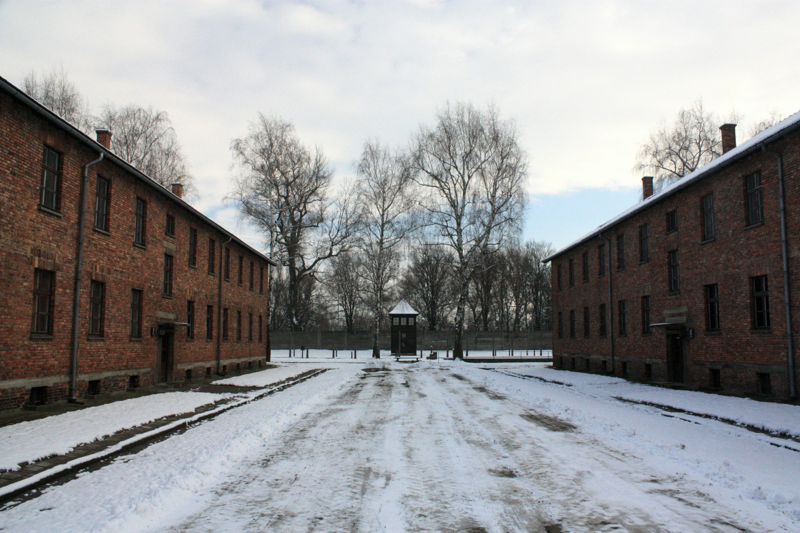 Imagen de Auschwitz, barracones, paseo nevado