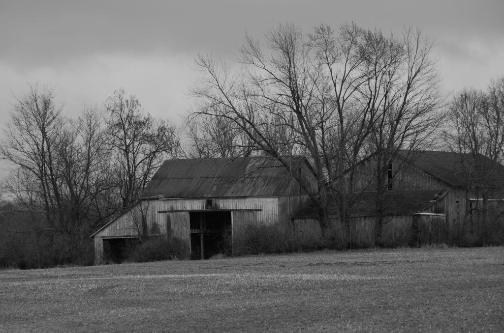 Siniestra granja al aire libre. Fotografía en blanco y negro