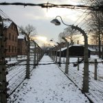 Barracones y alambradas de Auschwitz-Birkenau nevado