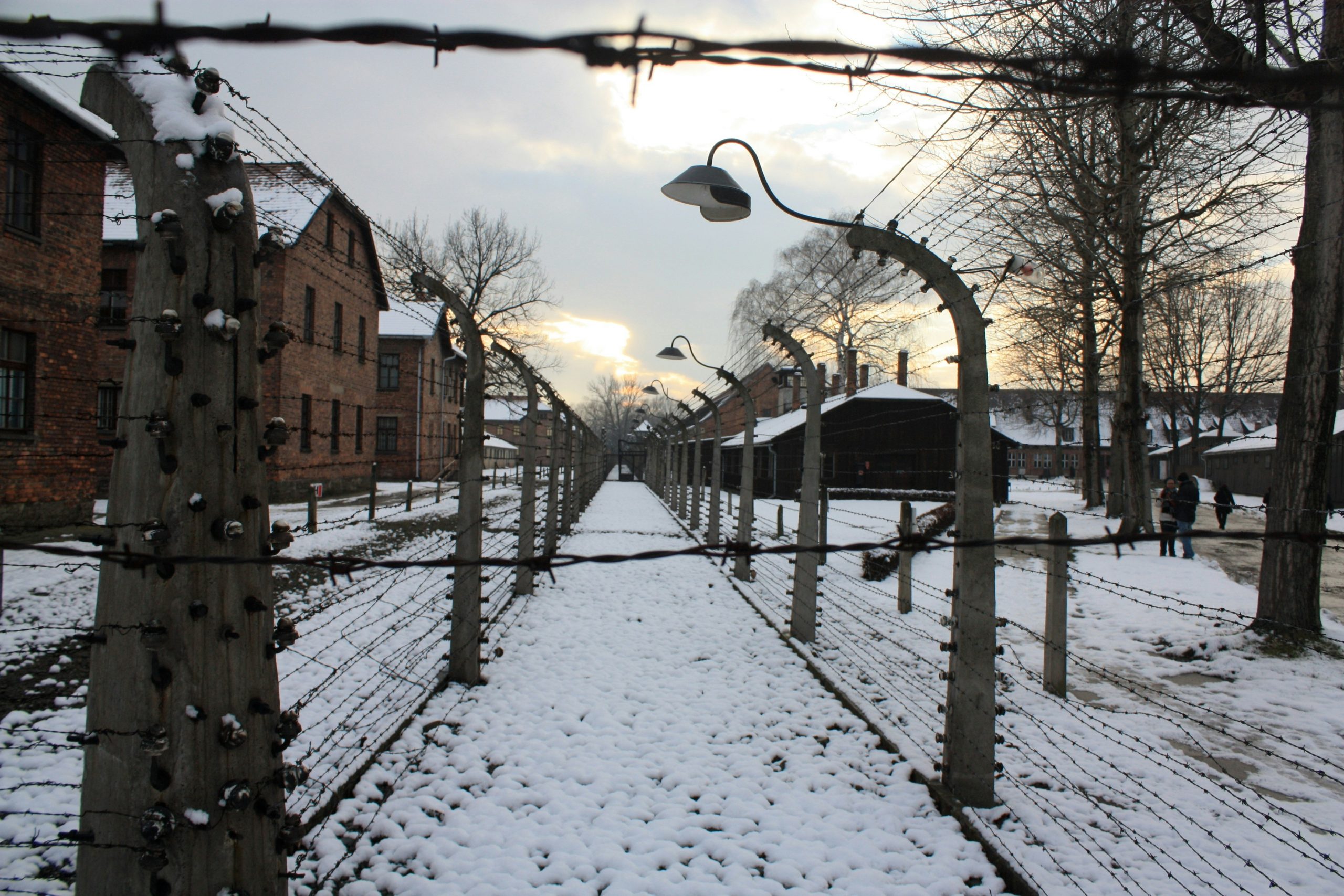 Barracones y alambradas de Auschwitz-Birkenau nevado